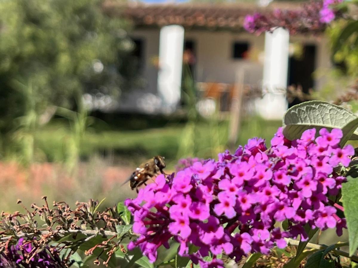 Camping Bungalows Armalygal Murillo de Gállego Buitenkant foto