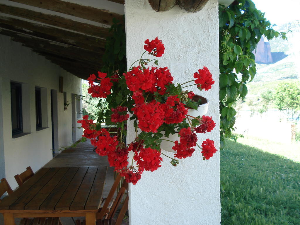 Camping Bungalows Armalygal Murillo de Gállego Kamer foto