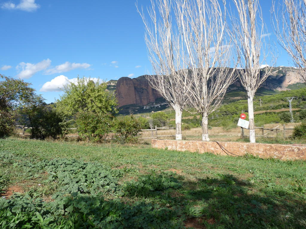 Camping Bungalows Armalygal Murillo de Gállego Buitenkant foto
